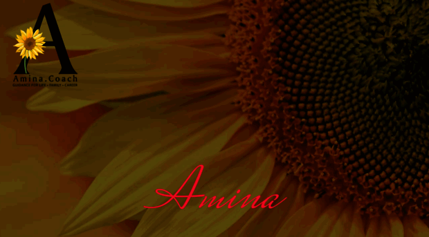 amina.coach