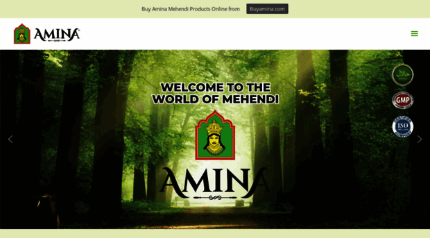 aminamehendi.com