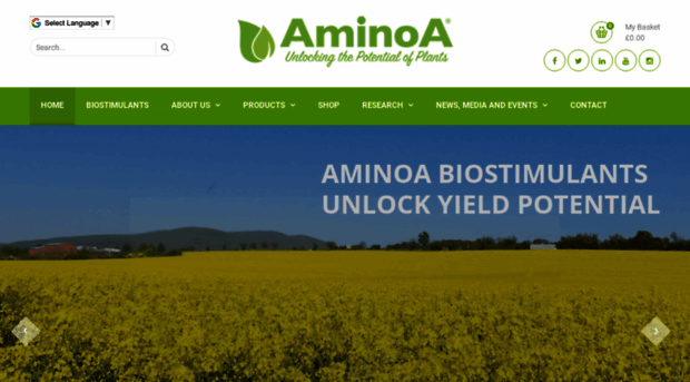 aminoa.co.uk