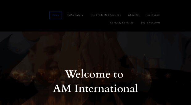 aminternacional.com