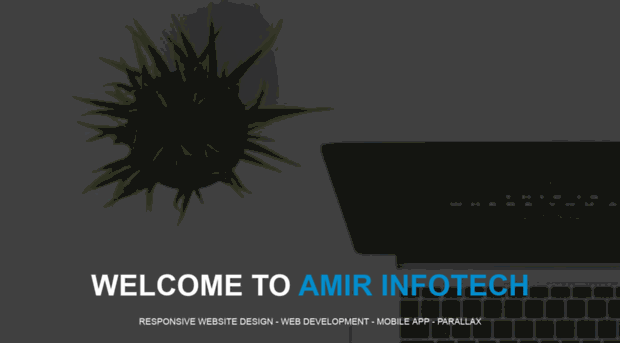 amirinfotech.com