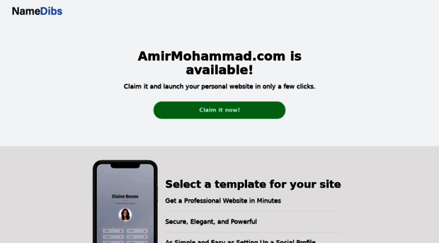 amirmohammad.com