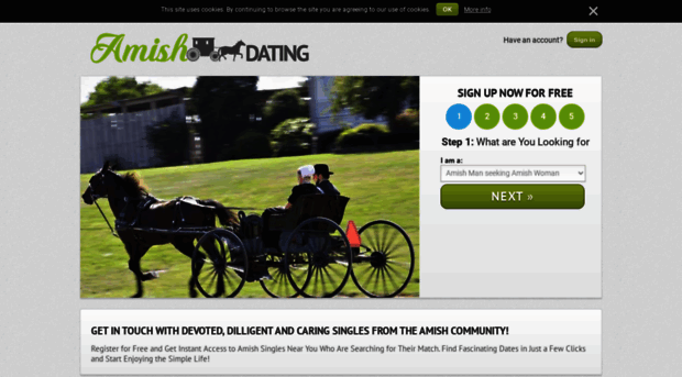 amishdating.com