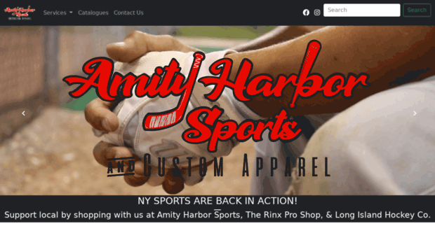 amitysports.com