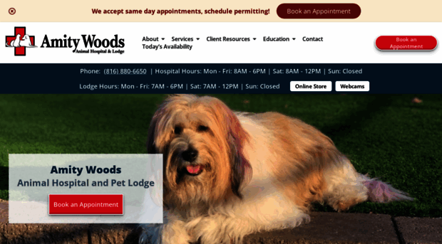 amitywoods.com