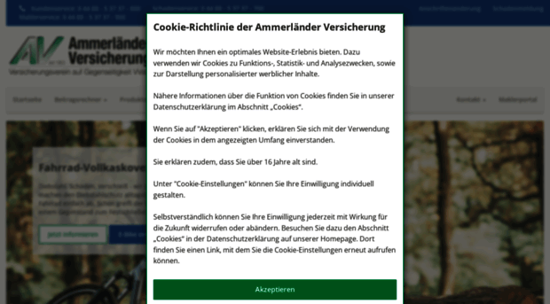 ammerlaender-versicherung.de