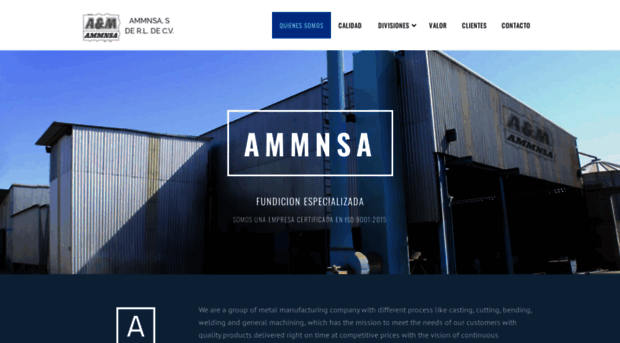 ammnsa.com.mx