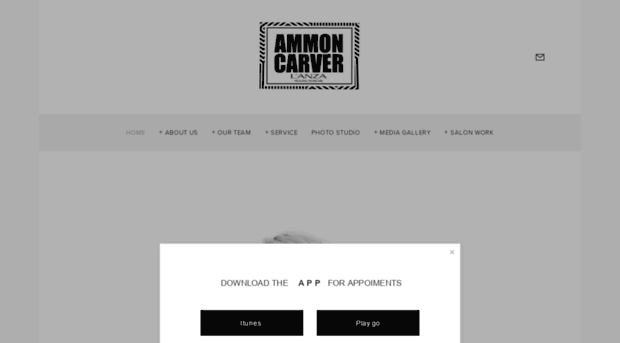 ammoncarver.com