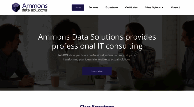 ammonsdatasolutions.com