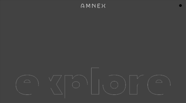 amnex.com