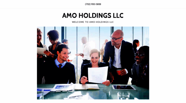 amoholdings.com