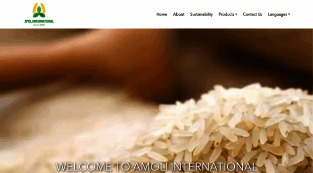 amoliinternational.com