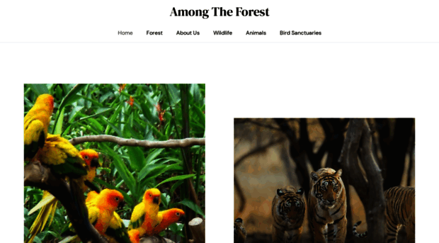 amongtheforest.com