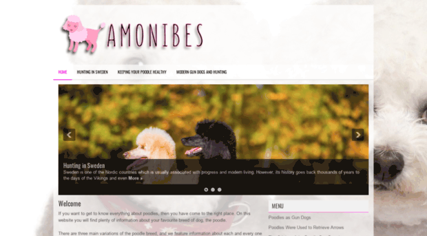 amonibes.com