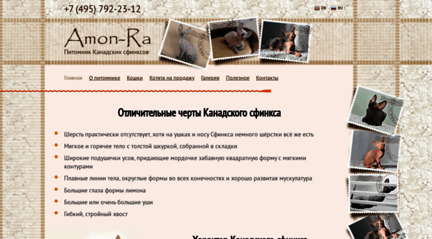 amonra.ru