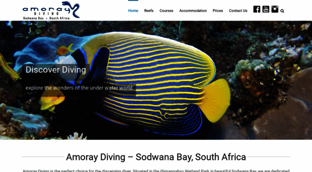 amoraydiving.com