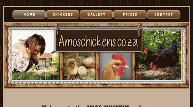 amoschickens.co.za