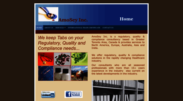 amoseyinc.com