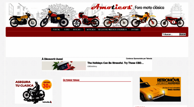 amoticos.org