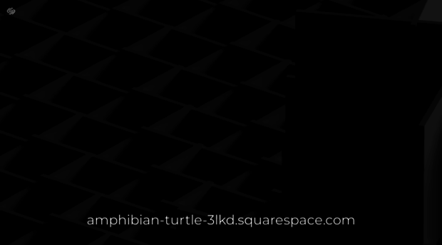 amphibian-turtle-3lkd.squarespace.com