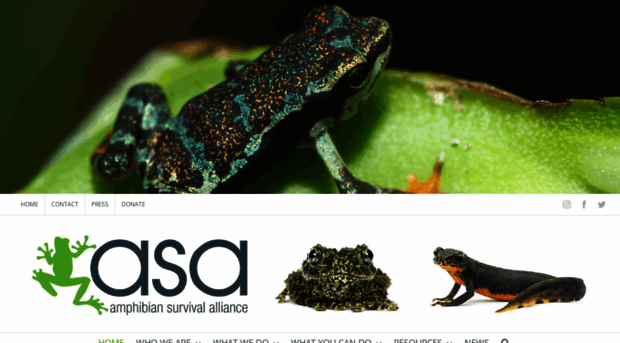 amphibians.org