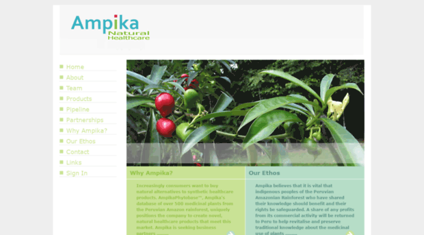 ampika.com