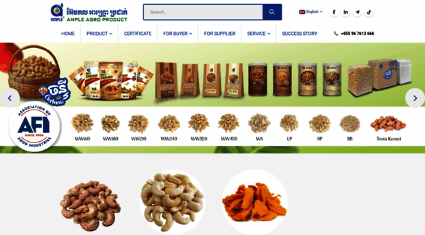 ampleap.com