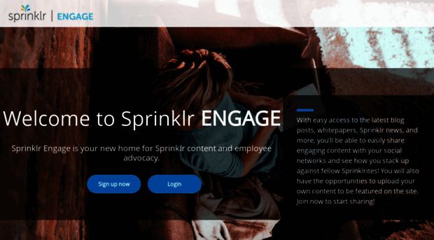 amplify.sprinklr.com