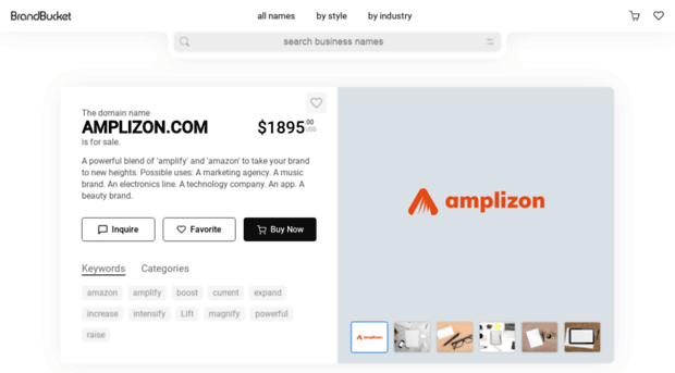 amplizon.com