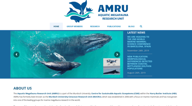 amru.org.au