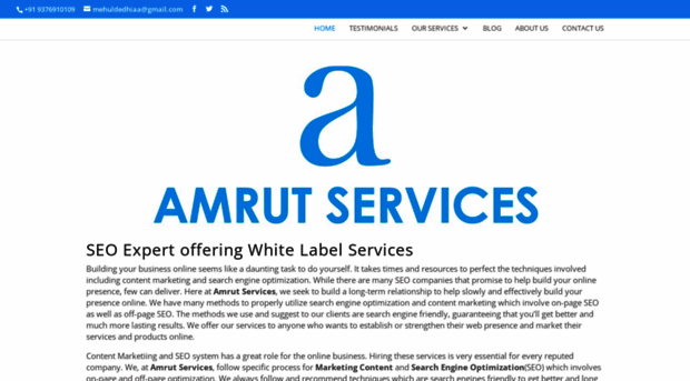 amrutservices.com