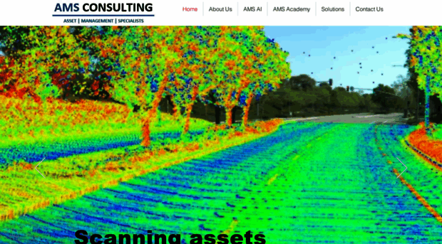 amsconsulting.net