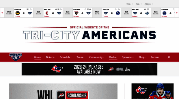 amshockey.com