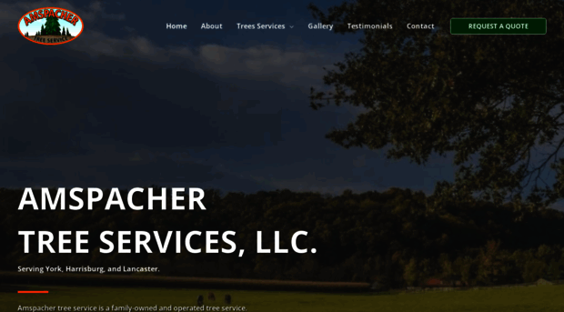 amspachertreeservice.com