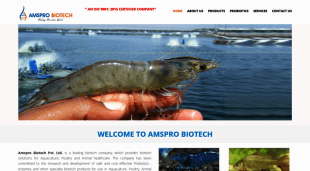 amsprobiotech.com