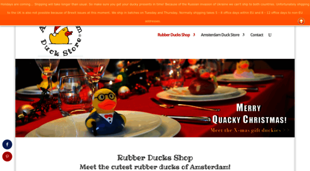 amsterdamduckstore.com