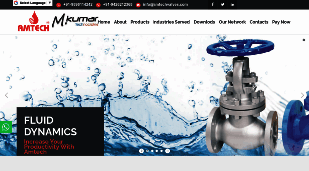 amtechvalves.com