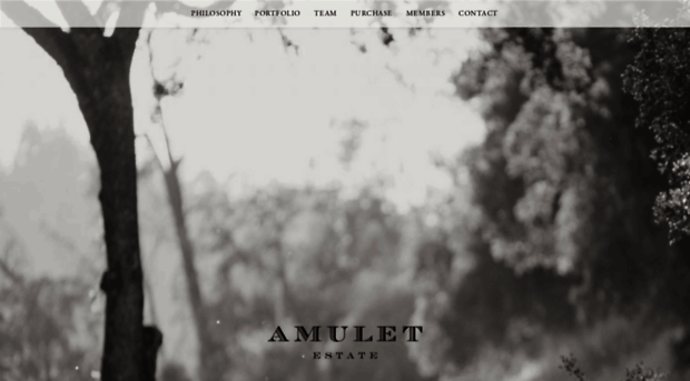 amuletestate.com