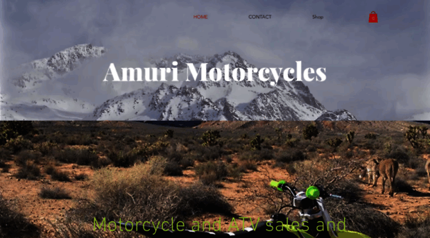 amurimotorcycles.com