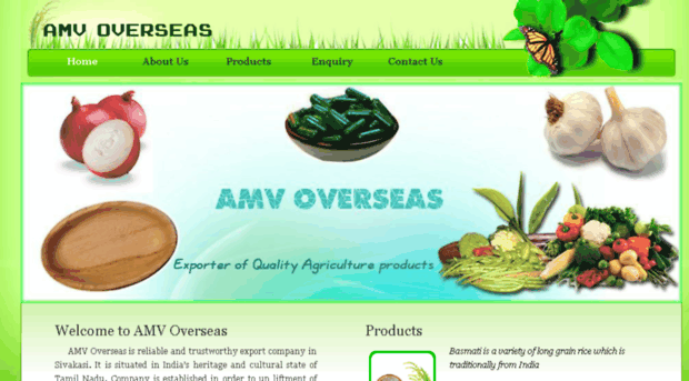 amvoverseas.com