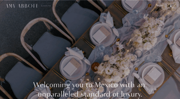 amyabbottevents.com