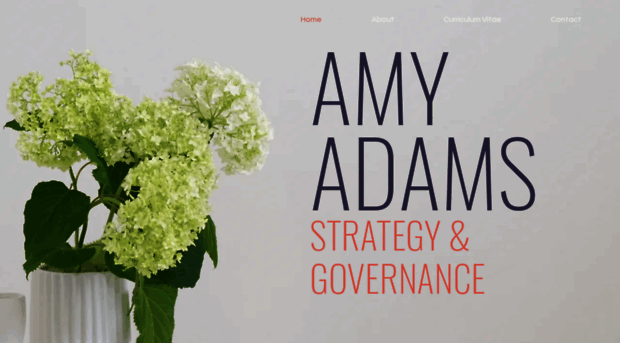 amyadams.co.nz