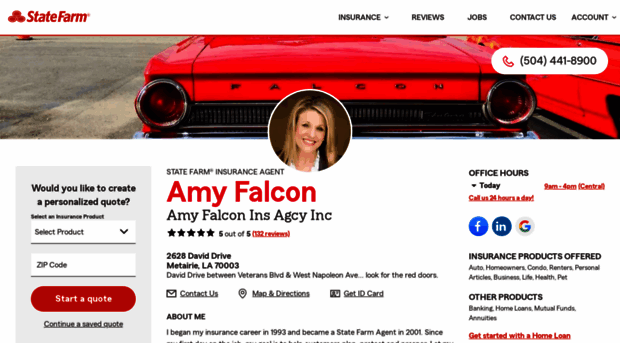 amyfalcon.com