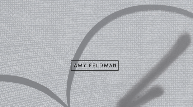 amyfeldmanstudio.com