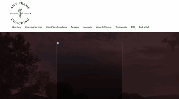 amyframecoaching.com