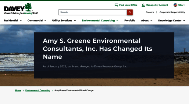 amygreen.com