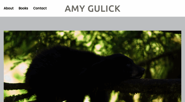 amygulick.com