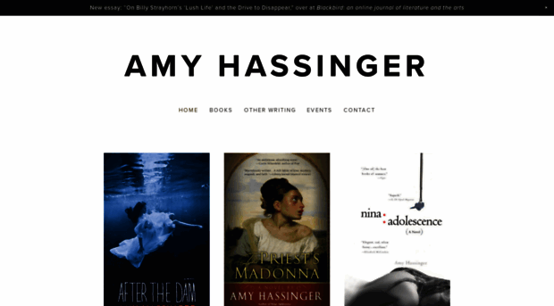 amyhassinger.com