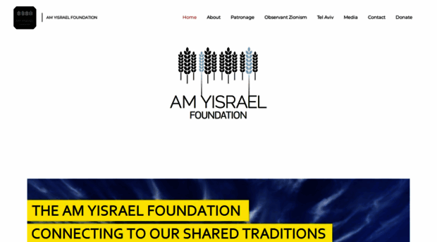 amyisrael.com