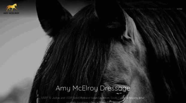 amymcelroy.com